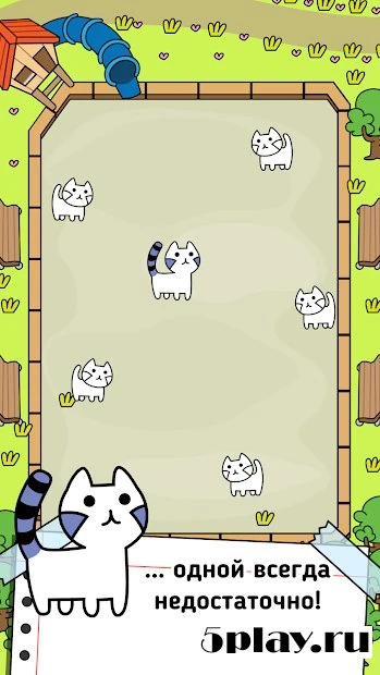 Cat Evolution 1.0.9
