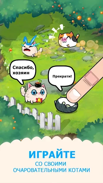 Модные кошки - Китти кошка одеваются 2021.15