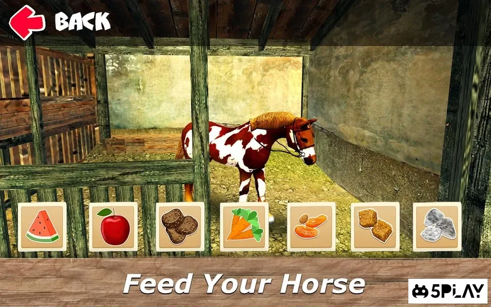 Мой Маленький Табун: Симулятор Ухода за Лошадью 1.4.2