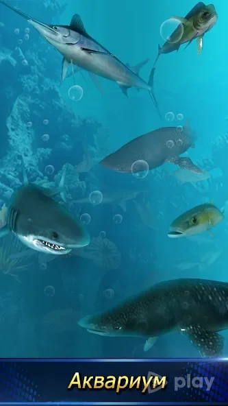 Monster Fishing 2024 v0.4.55