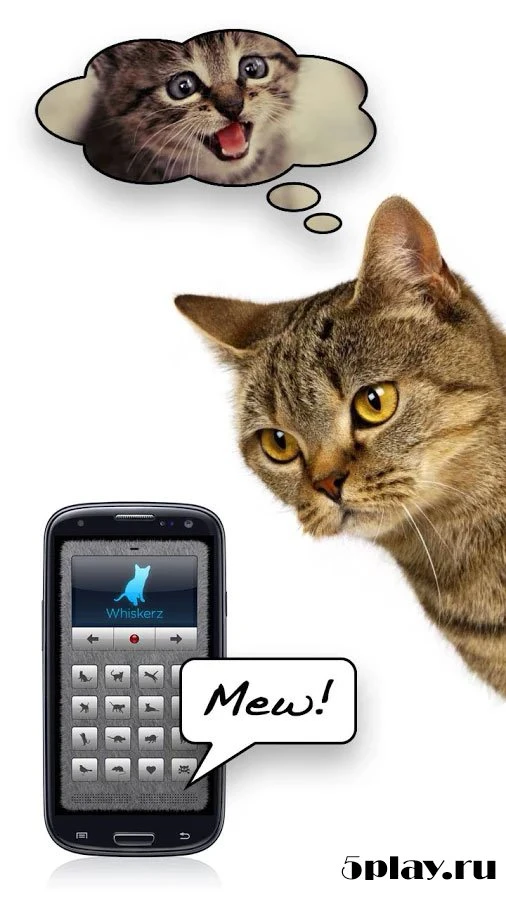 Переводчик на кошачий 1.11