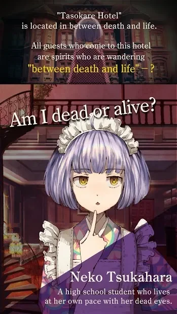 TASOKARE HOTEL 1.2.3