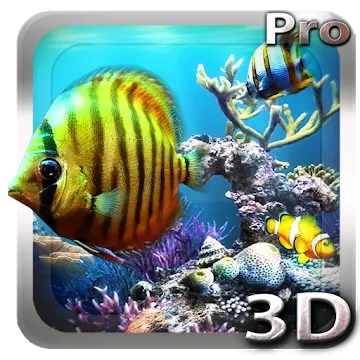 Tropical Ocean 3D LWP