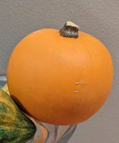 Galaxy S23 Ultra перевершив Pixel 7 Pro та Galaxy S22 Ultra в тесті камери 