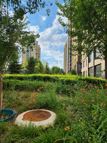 Оновлення Fresh Galaxy S22 "Накачав" можливості камери пристрою 