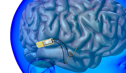 Китайські вчені створили живого голуба на радіопровідному радіо 