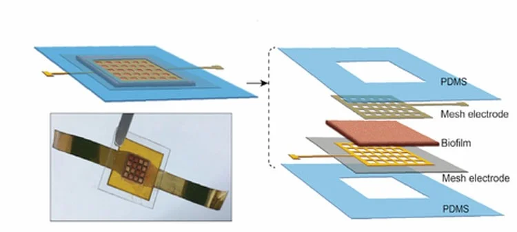 Створено біоплівку, яка виробляє електроенергію від поту 