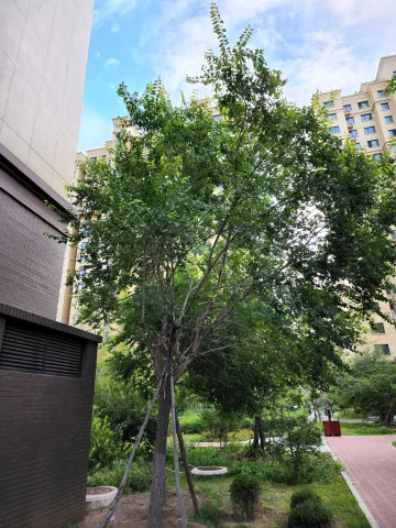 Оновлення Fresh Galaxy S22 "Накачав" можливості камери пристрою 