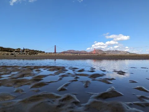 Можливості цифрової Zoom Camera Google Pixel 7 Pro показали на нових фотографіях  